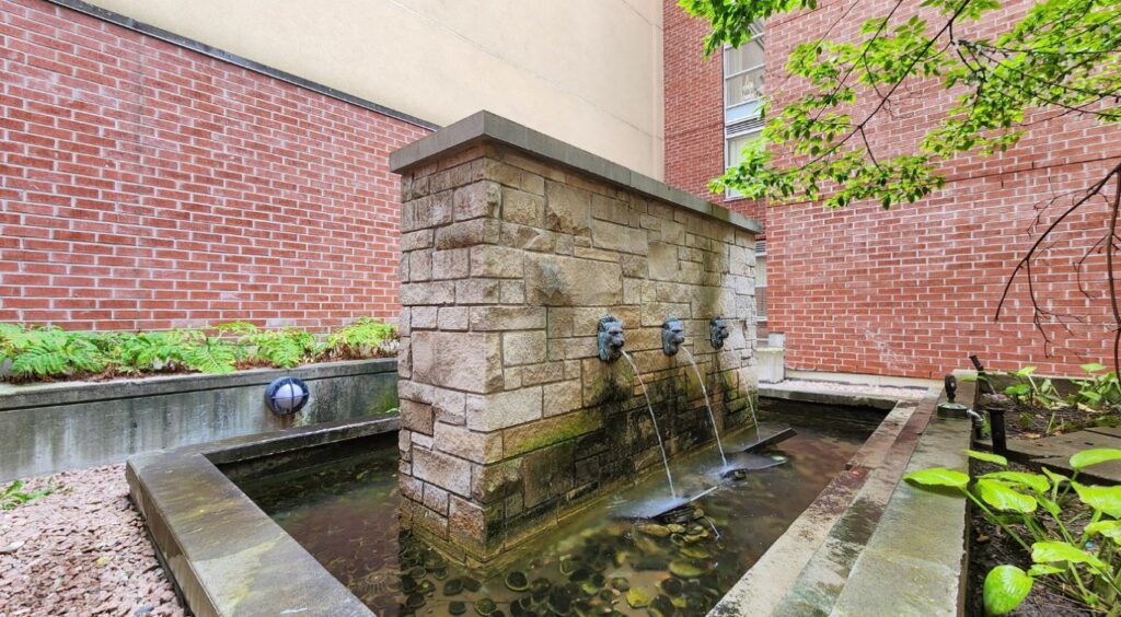 Tranquil water feature in the private courtyard at Eleven Residences, 11 St Joseph St, providing a peaceful retreat for residents to relax and unwind.